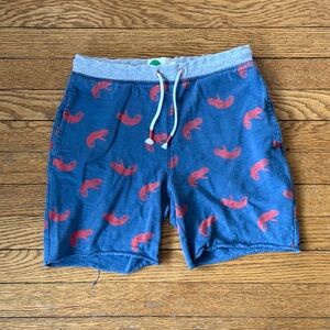Mini Boden Chameleon Shorts - Size 12